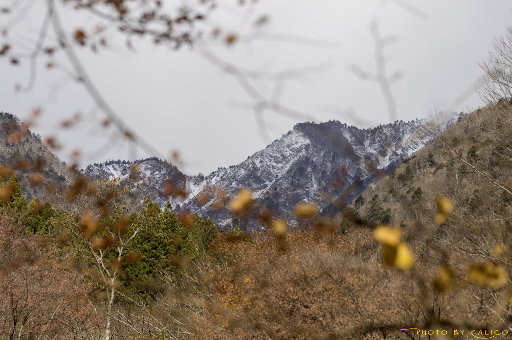 雪化粧