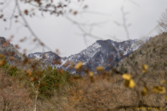 雪化粧