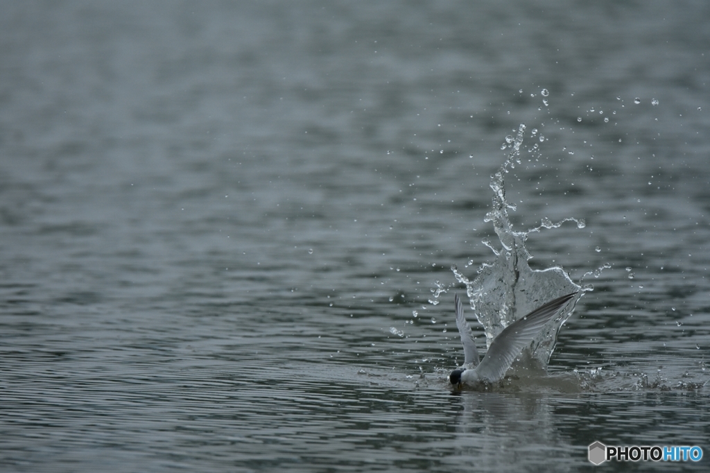 hunting Ⅱ