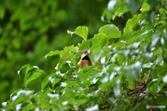 み〜んな僕のもの