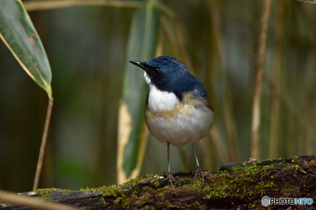 僕の足 長いでしょう♪