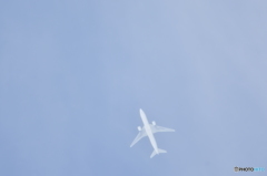 白い機体