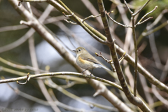 また会う日まで Ⅱ