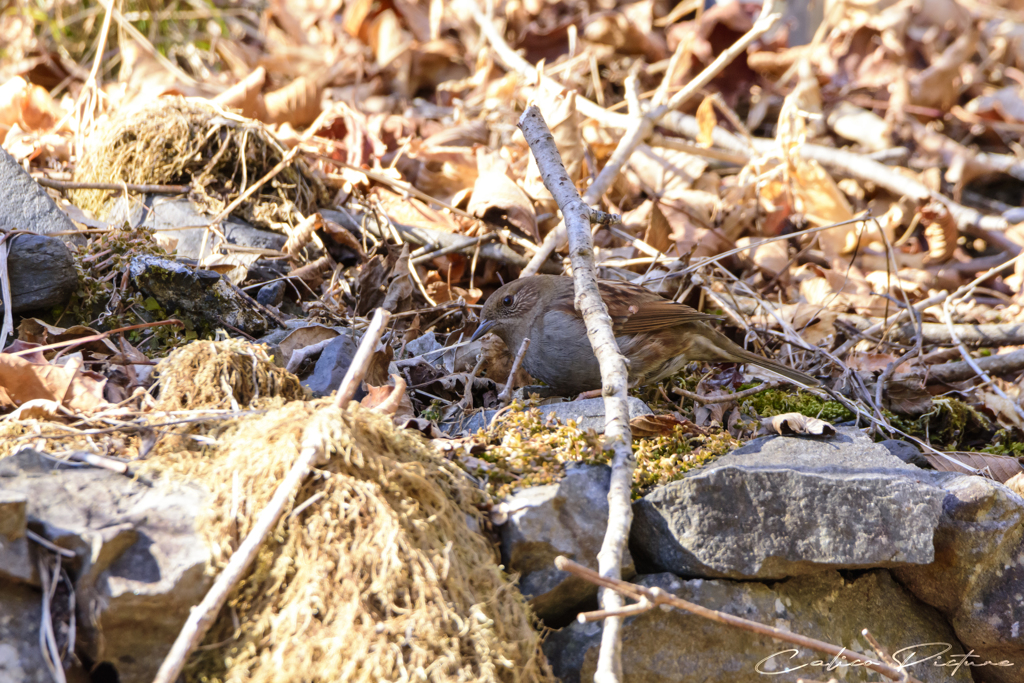 気になる場所 Ⅰ