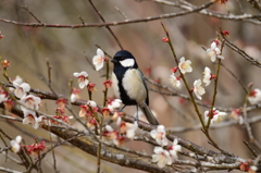 綺麗だなぁ