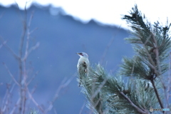 待ち合わせ場所