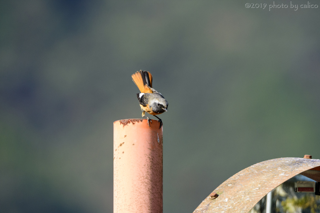 気に入らない Ⅰ