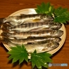 山からの恵み