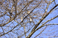 年明けて