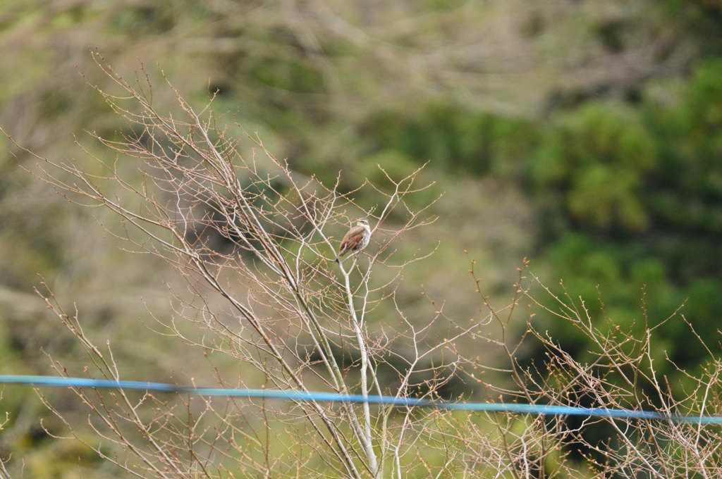 まだいてくれた！