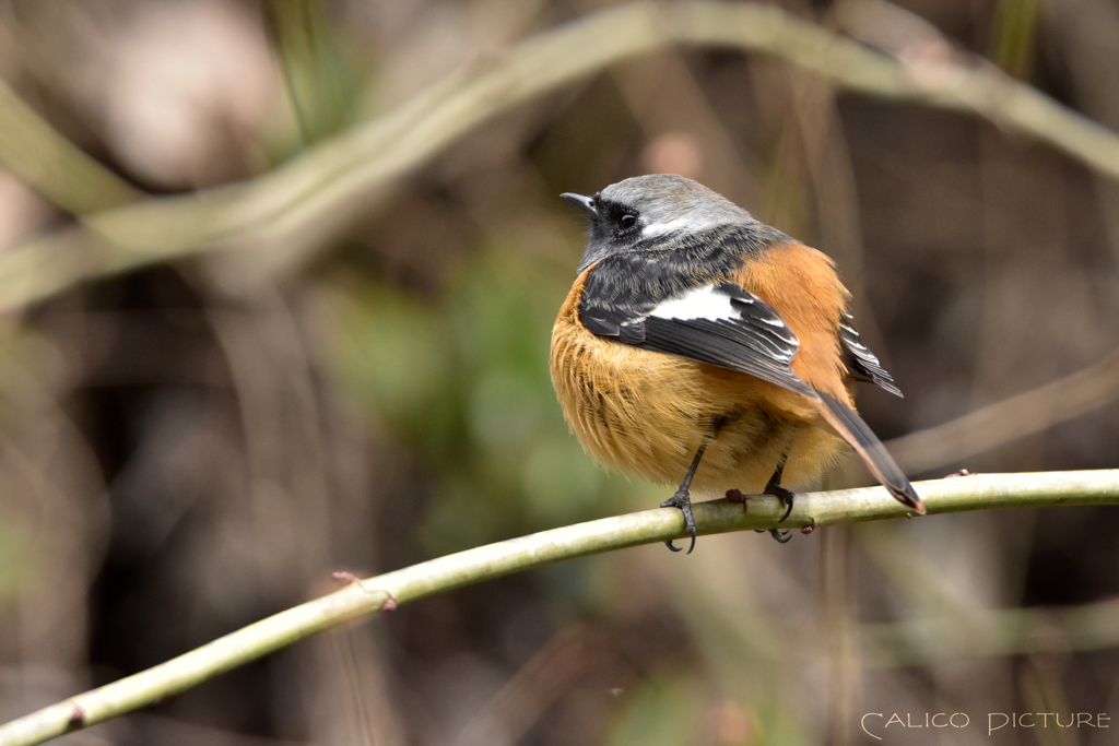 とにかく寒いんです