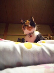 寝ようよ～②