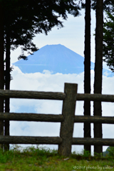 梅雨明け間近