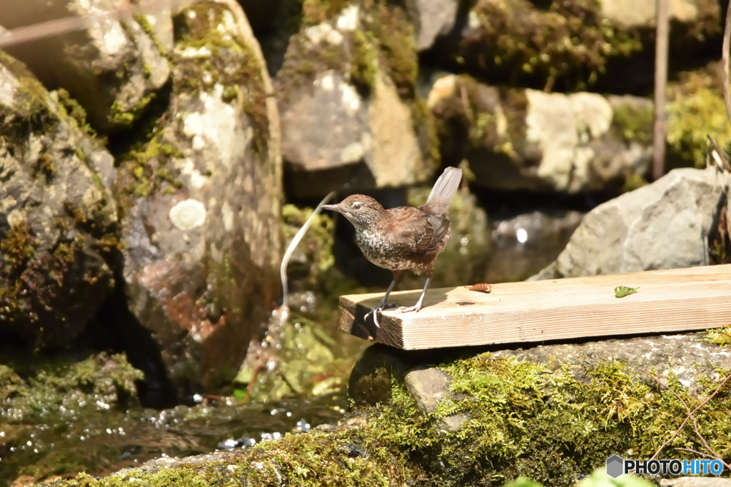 いつでも来てね
