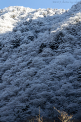 雪化粧 Ⅰ
