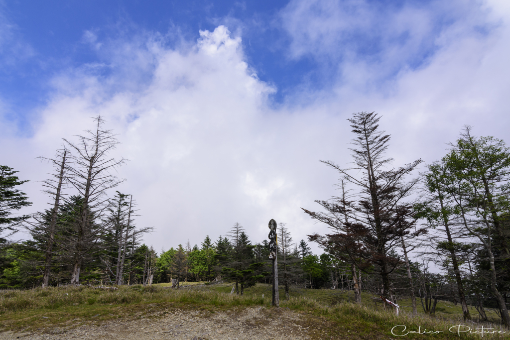 雲煙る山頂