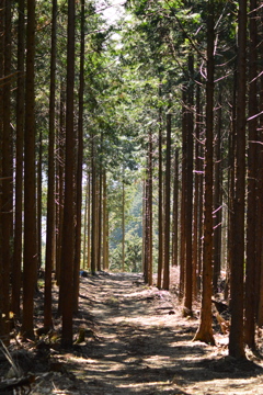 静寂に包まれて