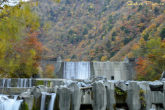 上流の紅葉