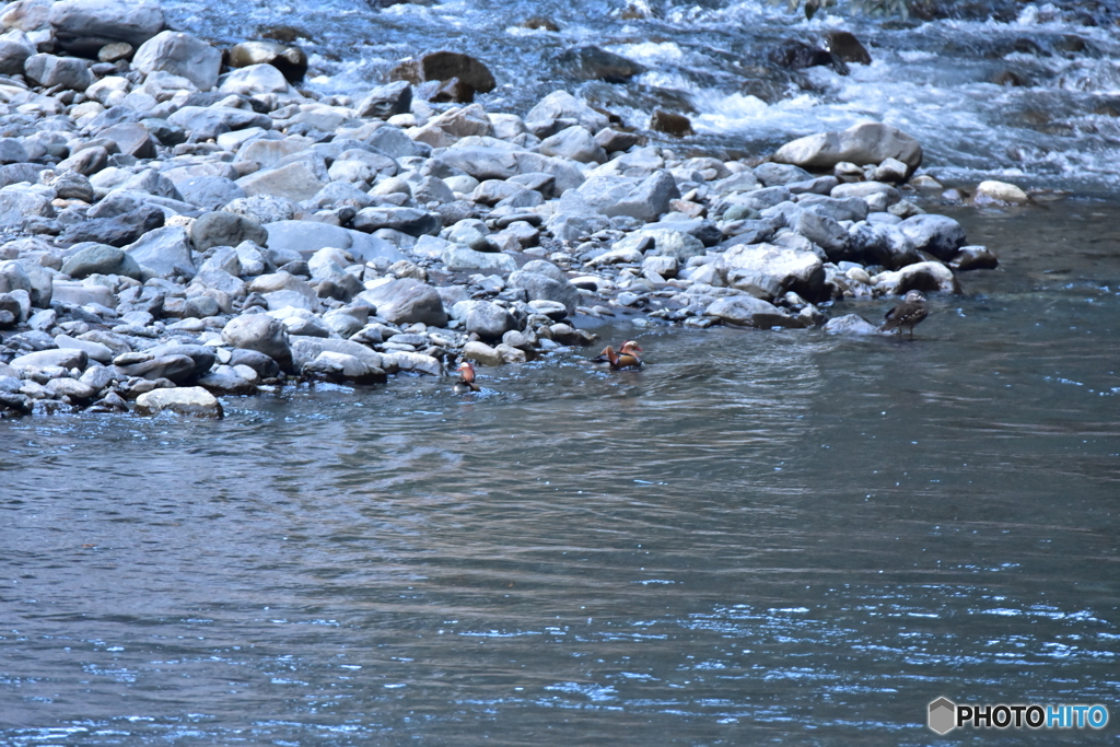 思いがけない出会い Ⅰ
