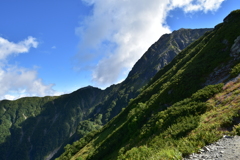 険しい横顔