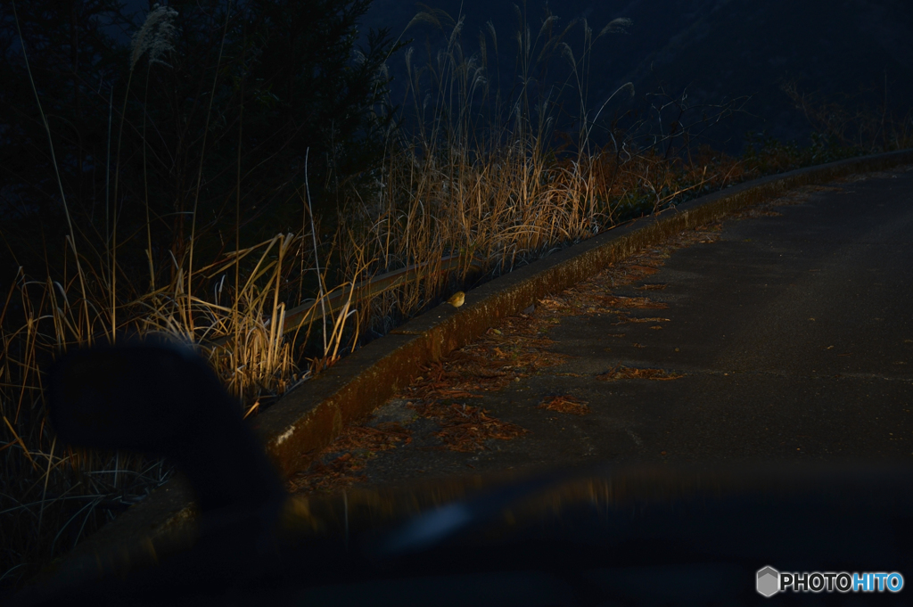 誰の帰りを待ってるの？