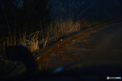 誰の帰りを待ってるの？