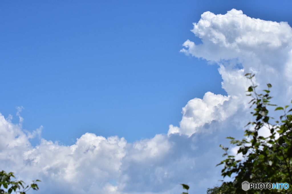 夏の空