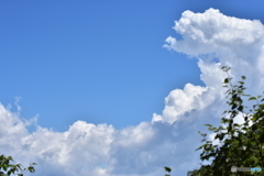 夏の空