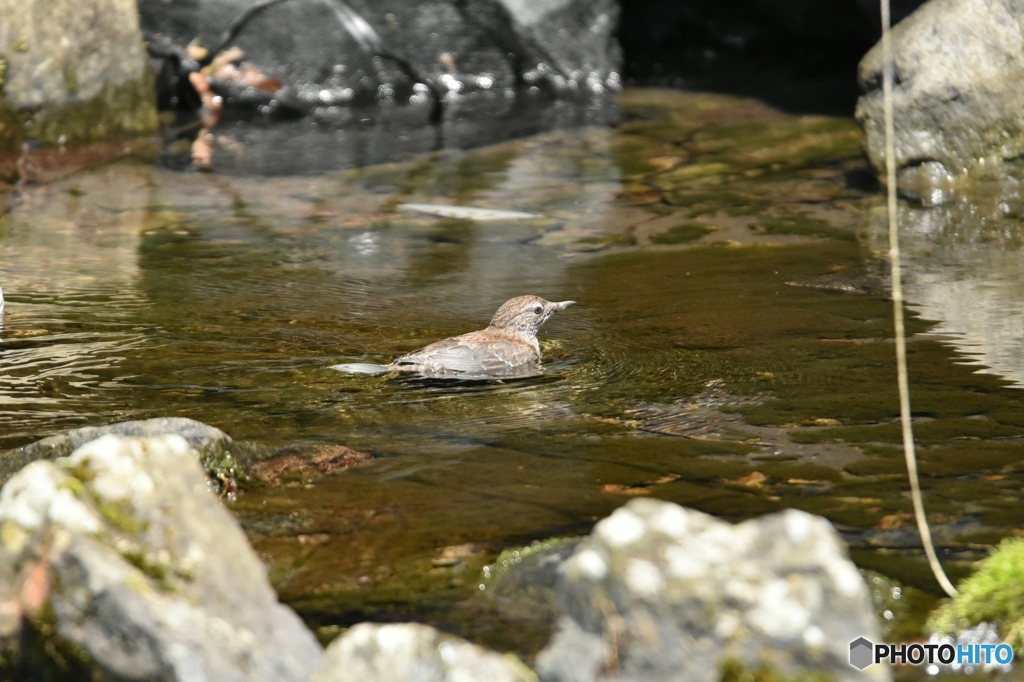 気持ちいいなぁ～