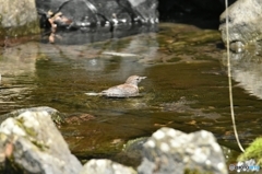 気持ちいいなぁ～