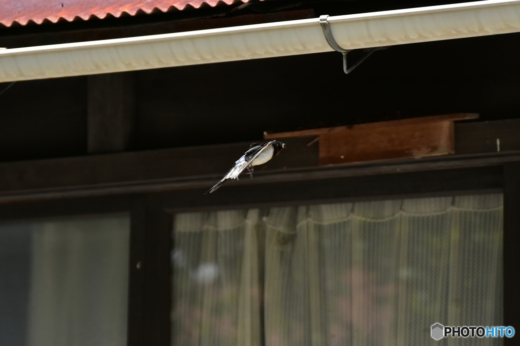 切ないなぁ･･･