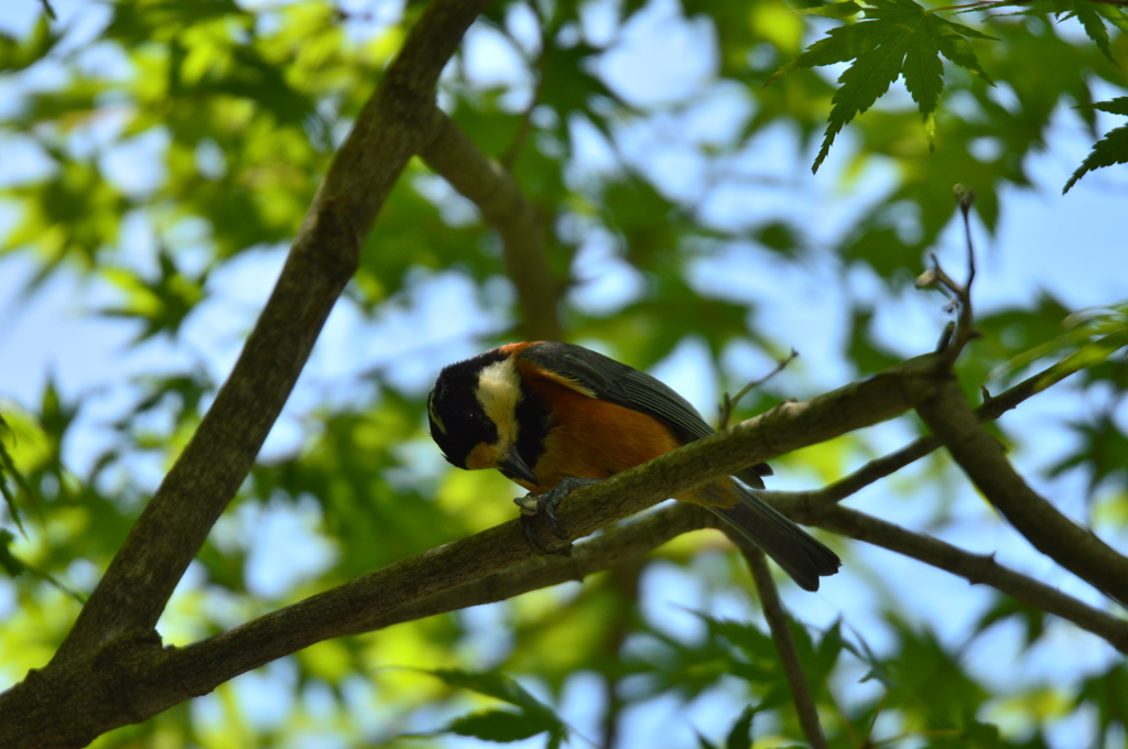 絶好調ﾃﾞｽ!!!