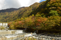 山葵田前の風景