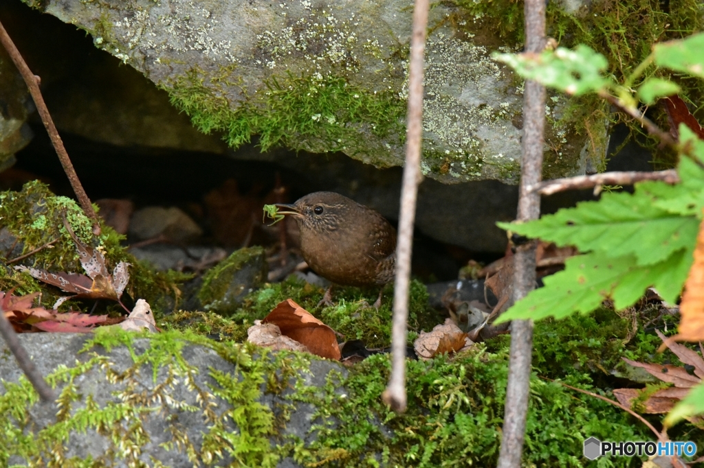 岩の隙間で朝食
