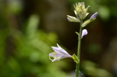 落ち着き 落ち着き