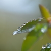 雨粒のかけ橋