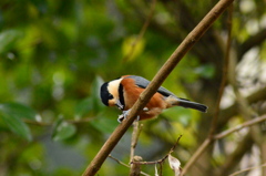 寒くても、美味しい♪
