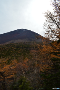 富士山五合目 奥庭自然公園