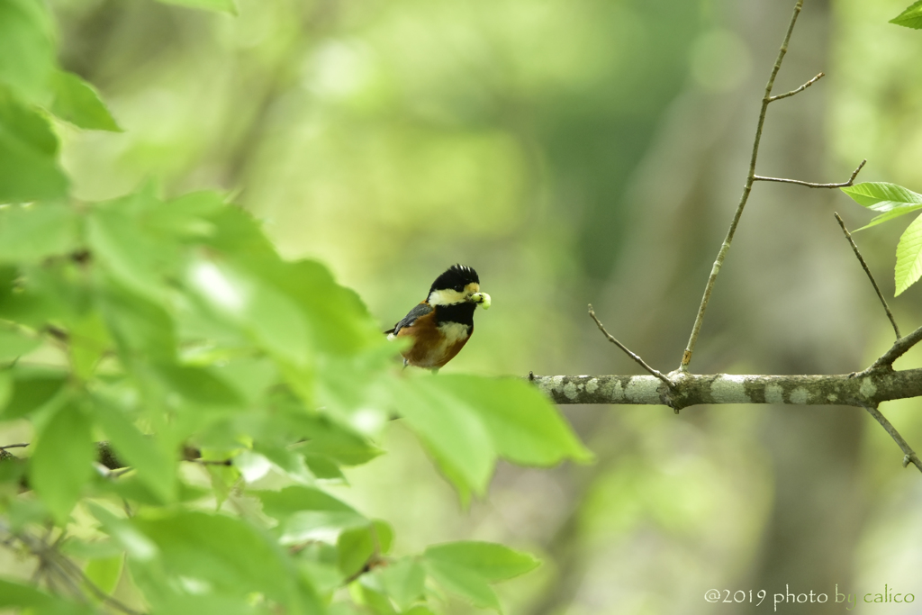 届けたい想い Ⅰ
