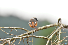 冬を楽しもう 冬を楽しもう