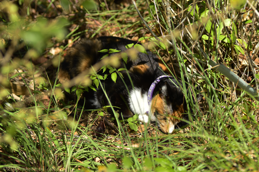 春の陽射しの中で