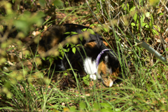 春の陽射しの中で