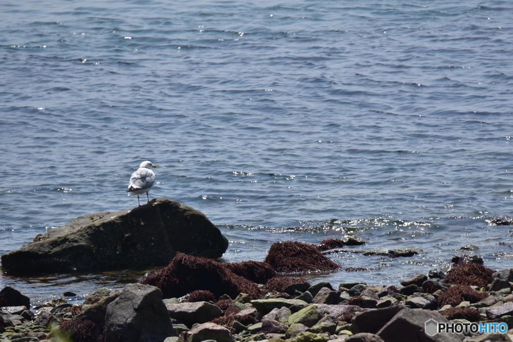心地よい汐風を浴びて