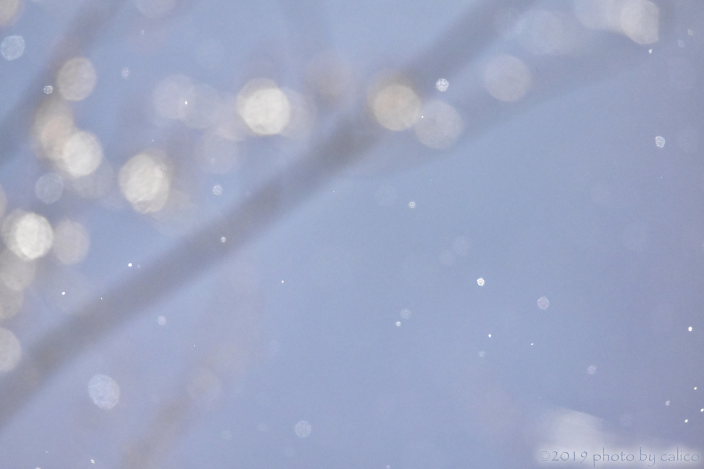 細雪 Ⅱ