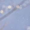 細雪 Ⅱ