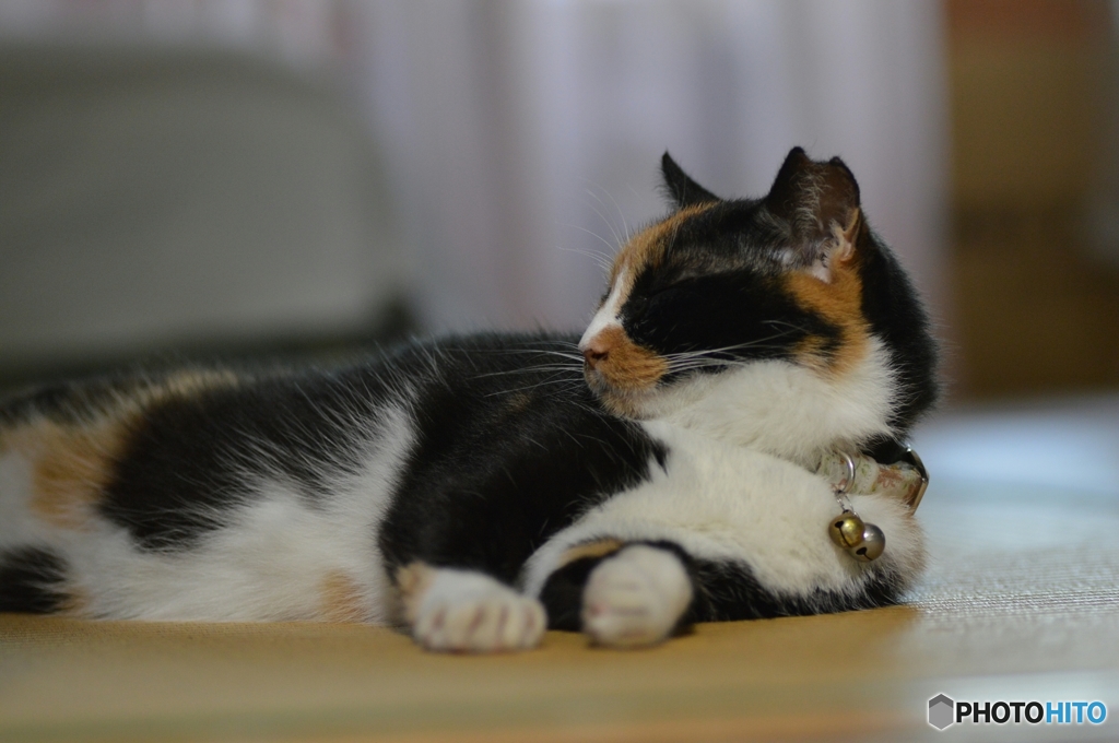 うたた寝