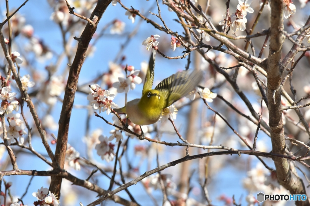 前進あるのみ