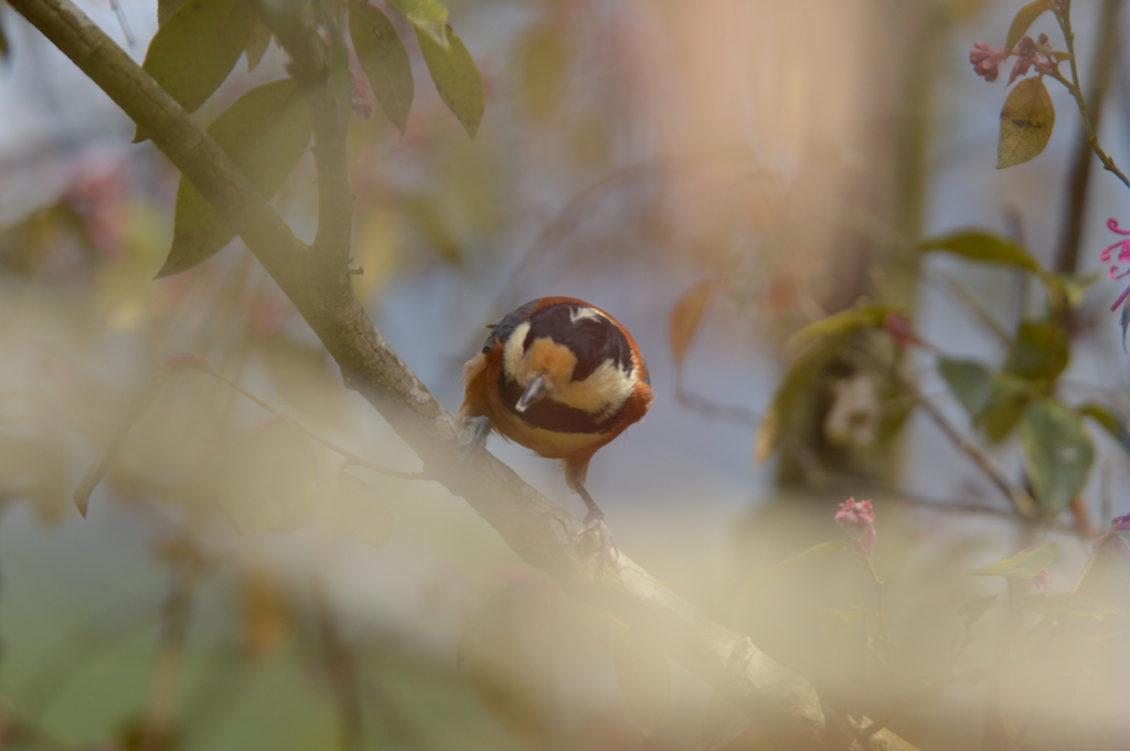 やっぱり私は、君が好き