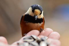 たくさん持ってるじゃない