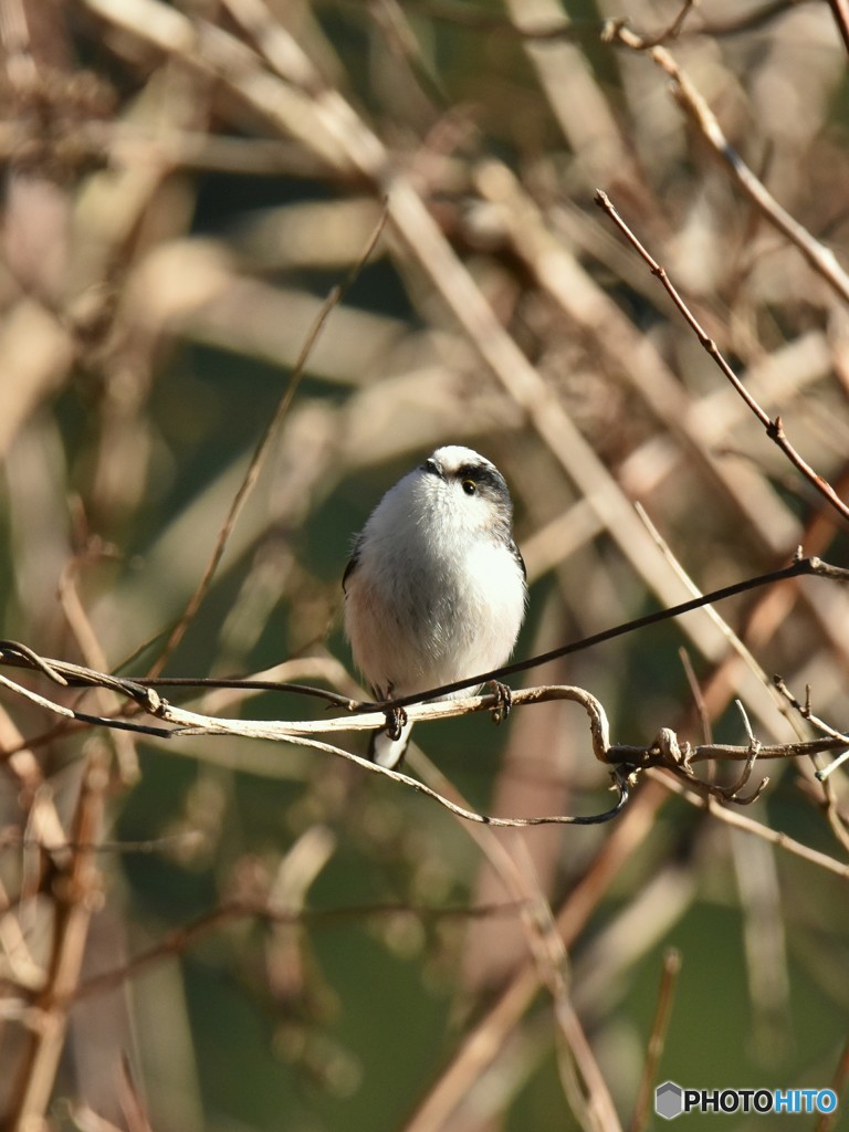 あっという間の一年だったなぁ･･･